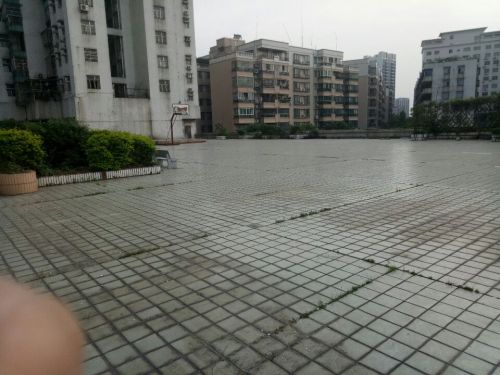湖畔花园广场旅行图片 3