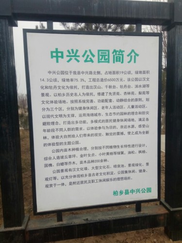 中兴公园旅行图片 1