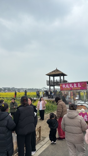 稻香公园-观景平台