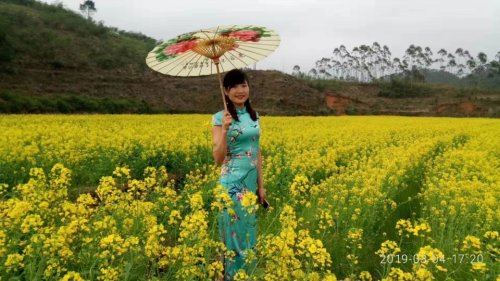 汉古伞庄(建设中)旅行图片 2