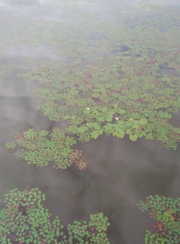 月牙湖自然保护区旅行图片 2