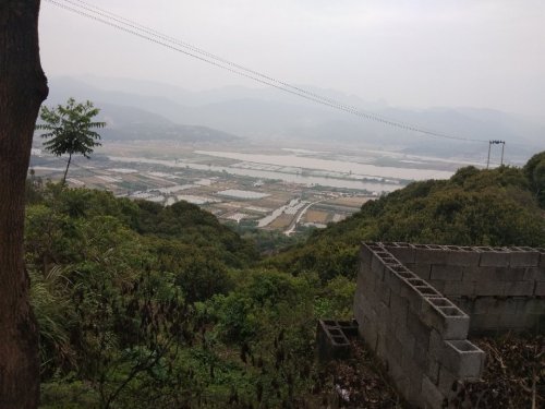 胡太子宫旅行图片