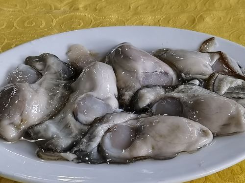 永兴生蚝火锅店(拱北水湾路总店)