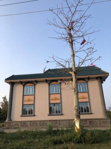 土头村文化广场旅行图片 2