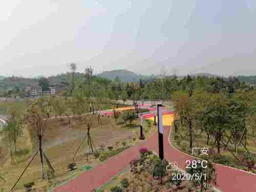 樱花岛旅行图片 1