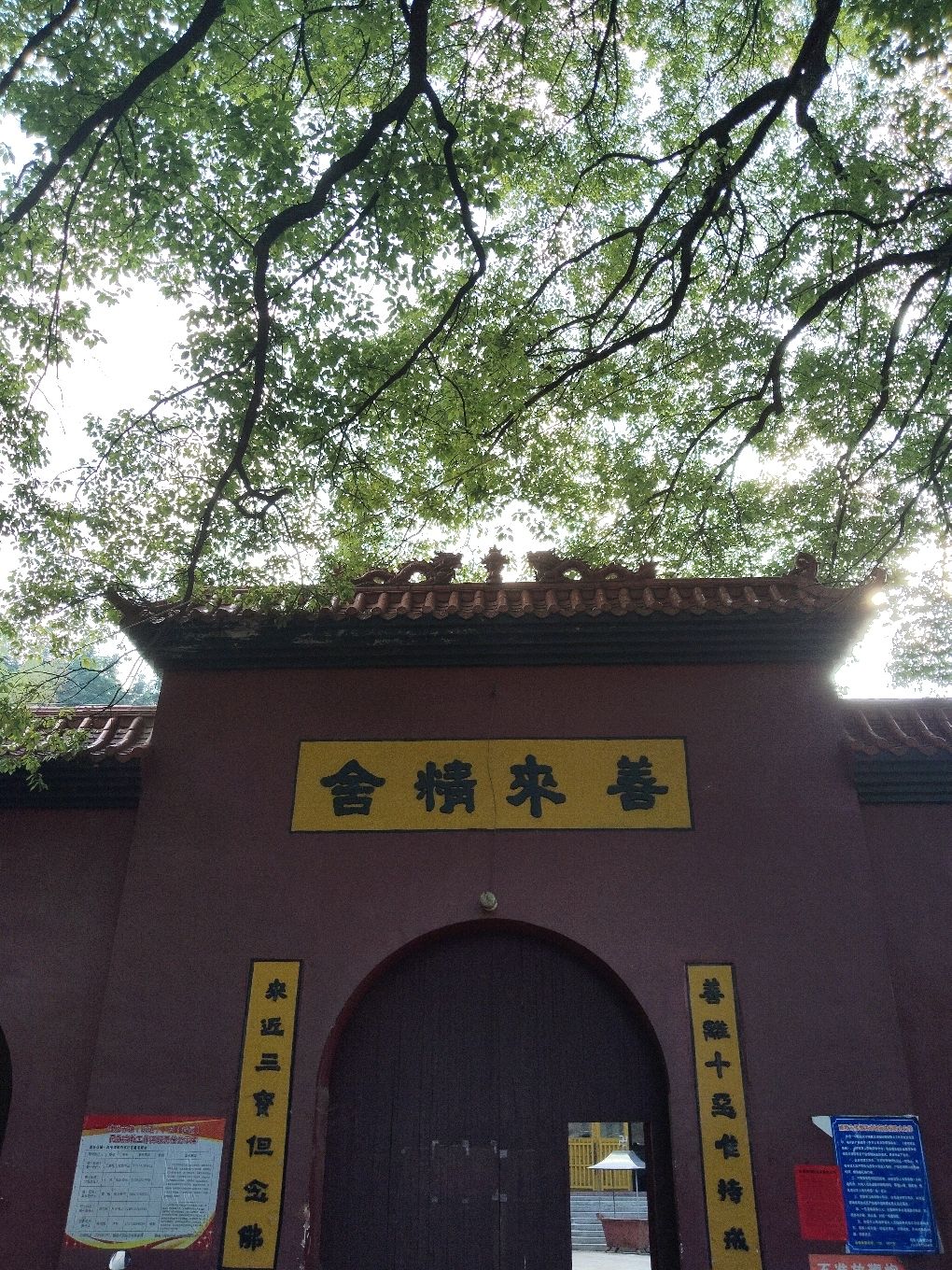善来精舍三圣殿实景照片