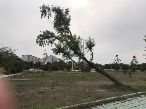 朱仙庄塌陷区公园旅行图片 1
