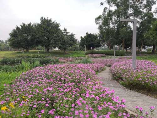 漳州市郊野公园旅行图片 2