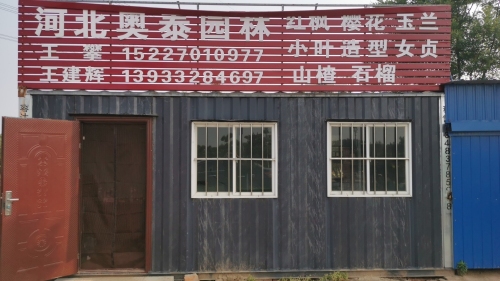 河北奥泰苗木花卉种植有限公司