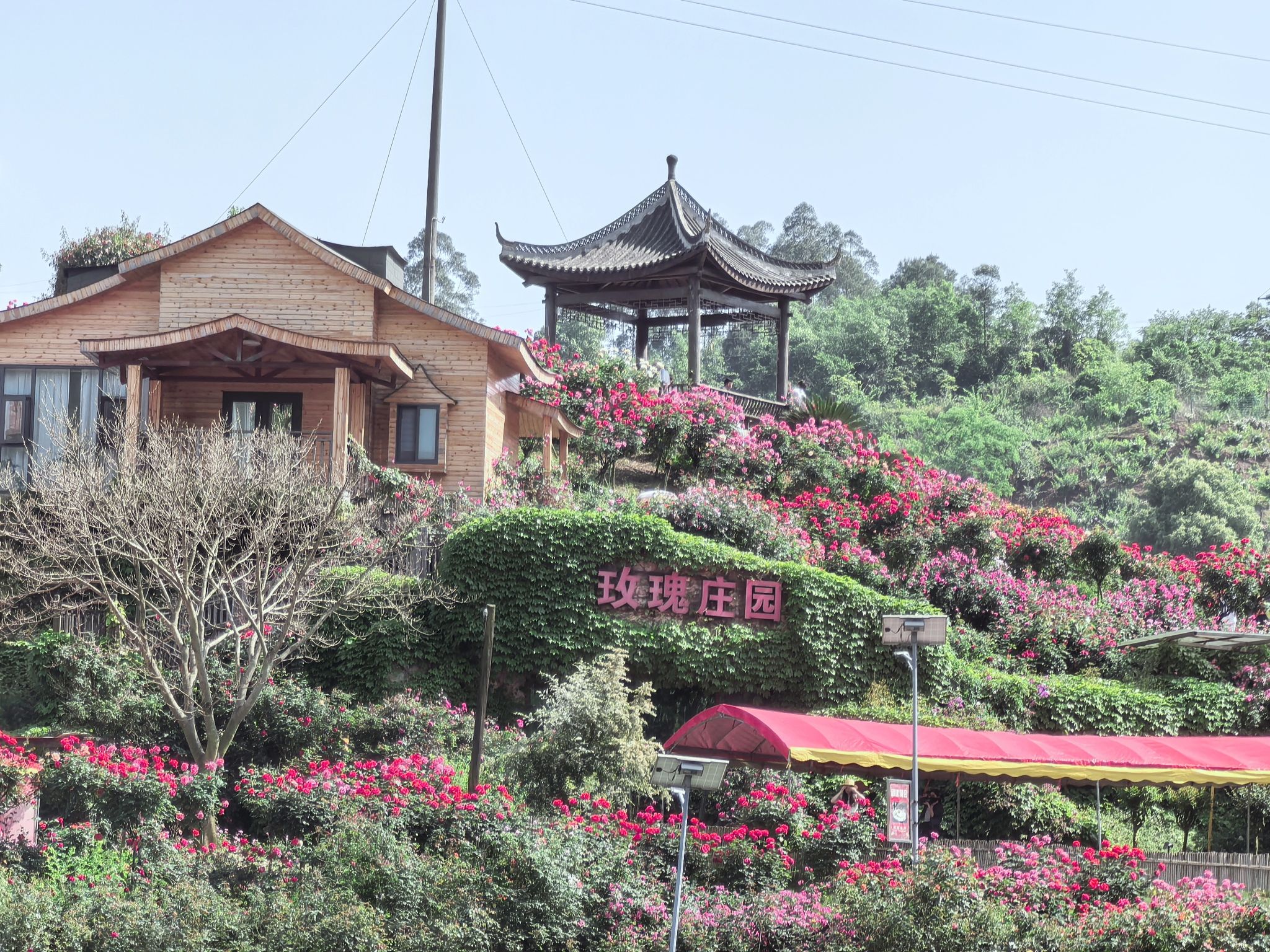 三教玫瑰庄园