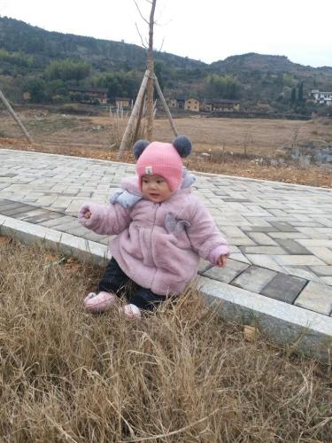 杭溪河入湖口湿地公园旅行图片 3
