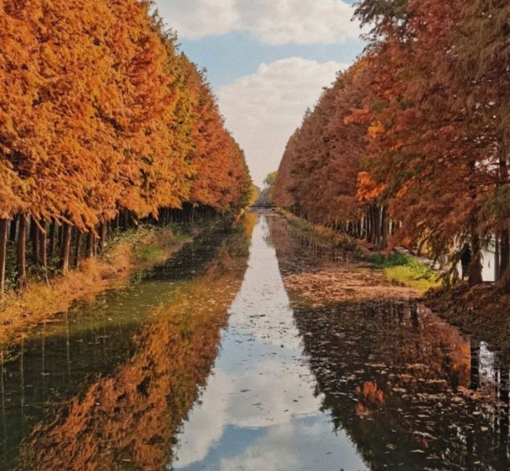虎丘湿地公园景点图片