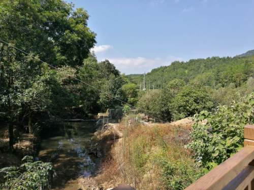 乌龙山桂花大观园旅行图片 3
