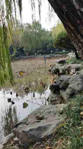 孝子祠公园旅行图片 1