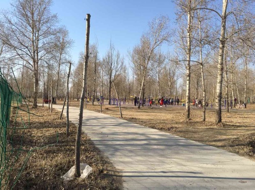 西郊森林公园旅行图片 1