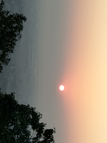 五华天云岭森林公园旅行图片 1