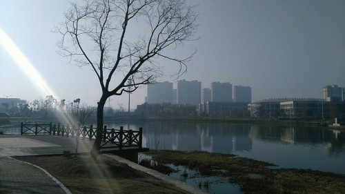 无为水景公园旅行图片 1