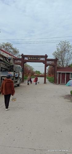 镇南森林公园
