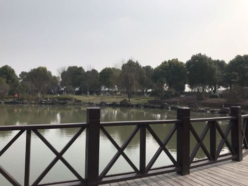 泖港镇健康主题公园旅行图片 2