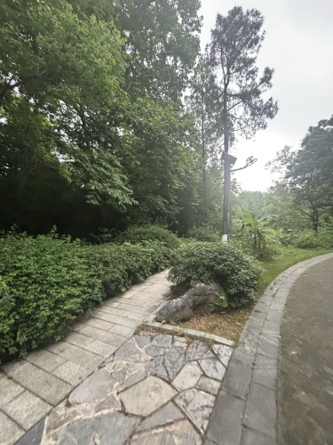 南京雨花台风景区湿地水景区