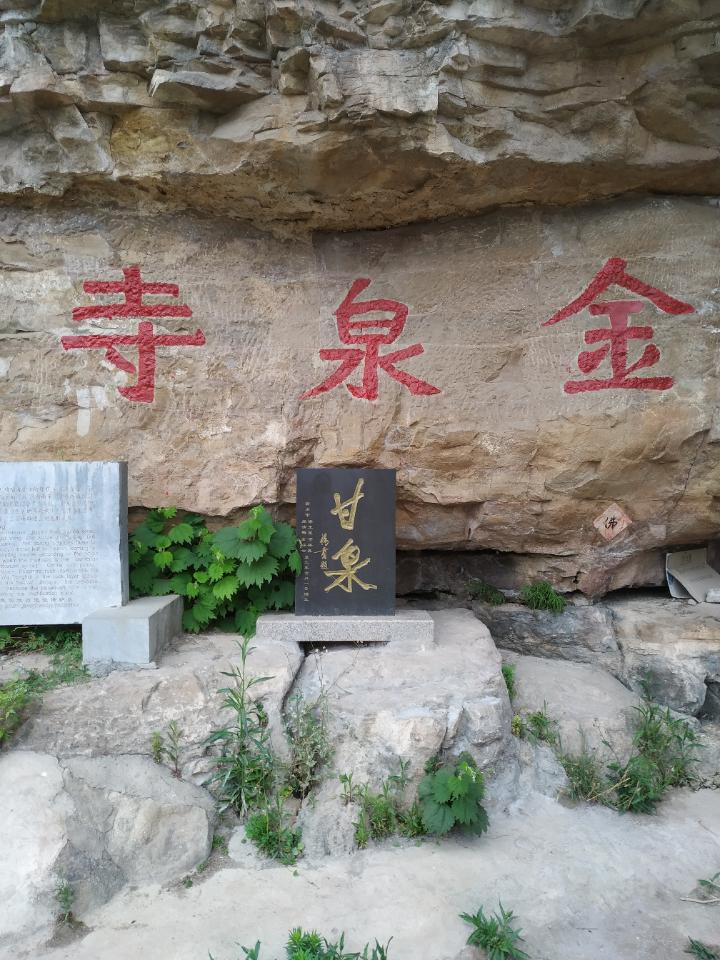金泉寺实景照片