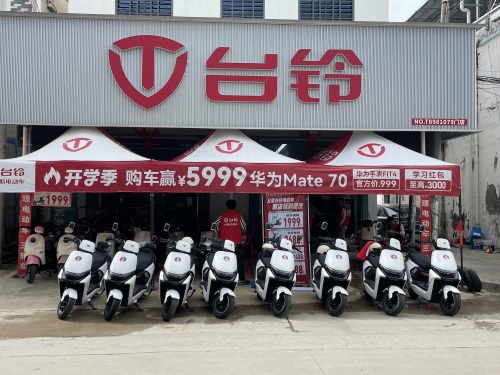 台铃电动车(公爱店)