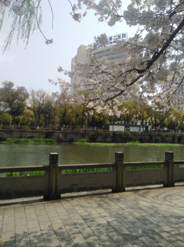 海曙公园旅行图片 3