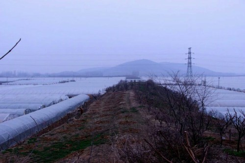 鄫国故城遗址旅行图片 3