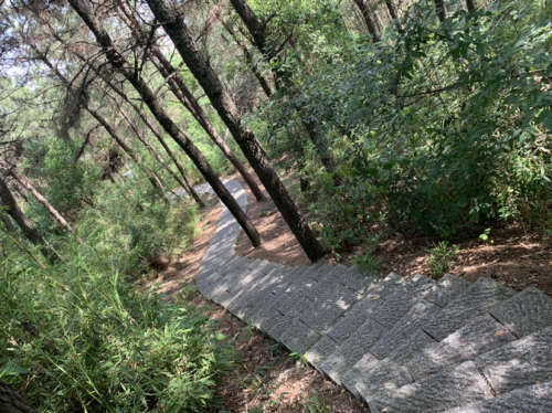 龙山公园旅行图片 1