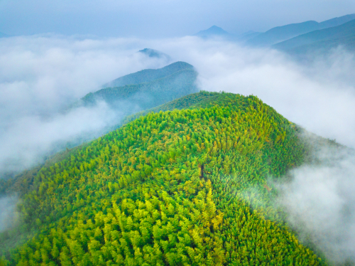 湖州莫干山 景点照片
