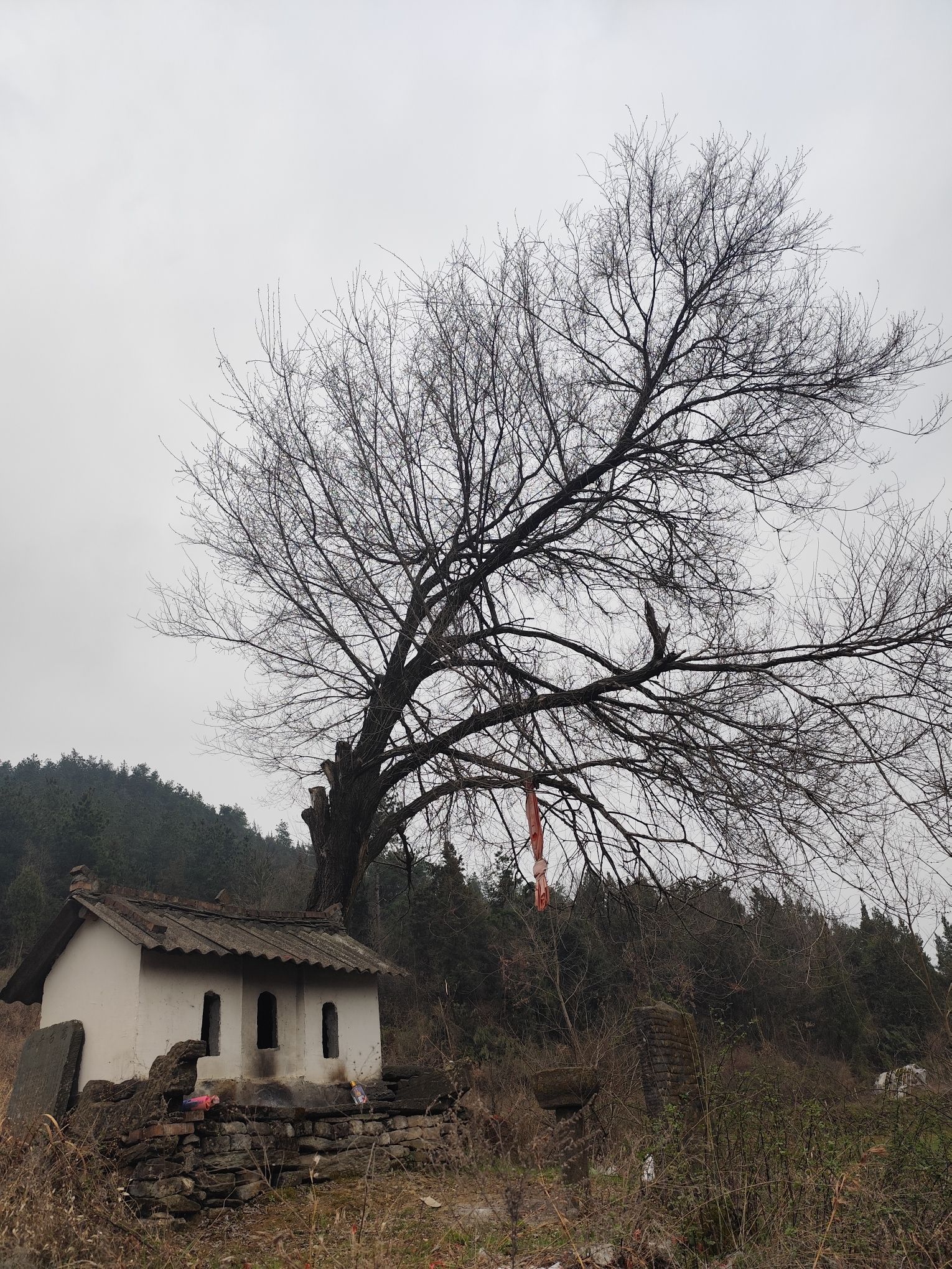 龙王庙实景照片