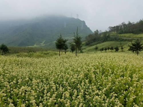 大瓦山五池水利风景区旅行图片 1