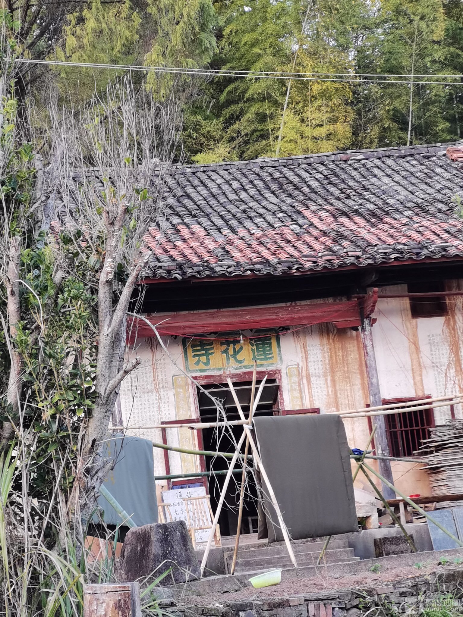 莲花寺实景照片