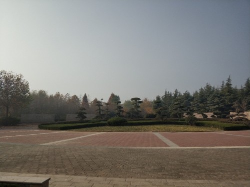 濮阳市植物园旅行图片 3