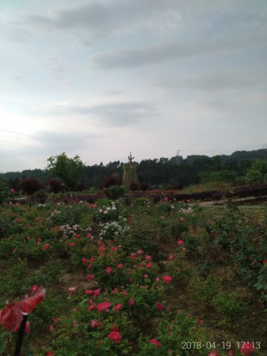 国家森林公园玉带峡景区旅行图片 1