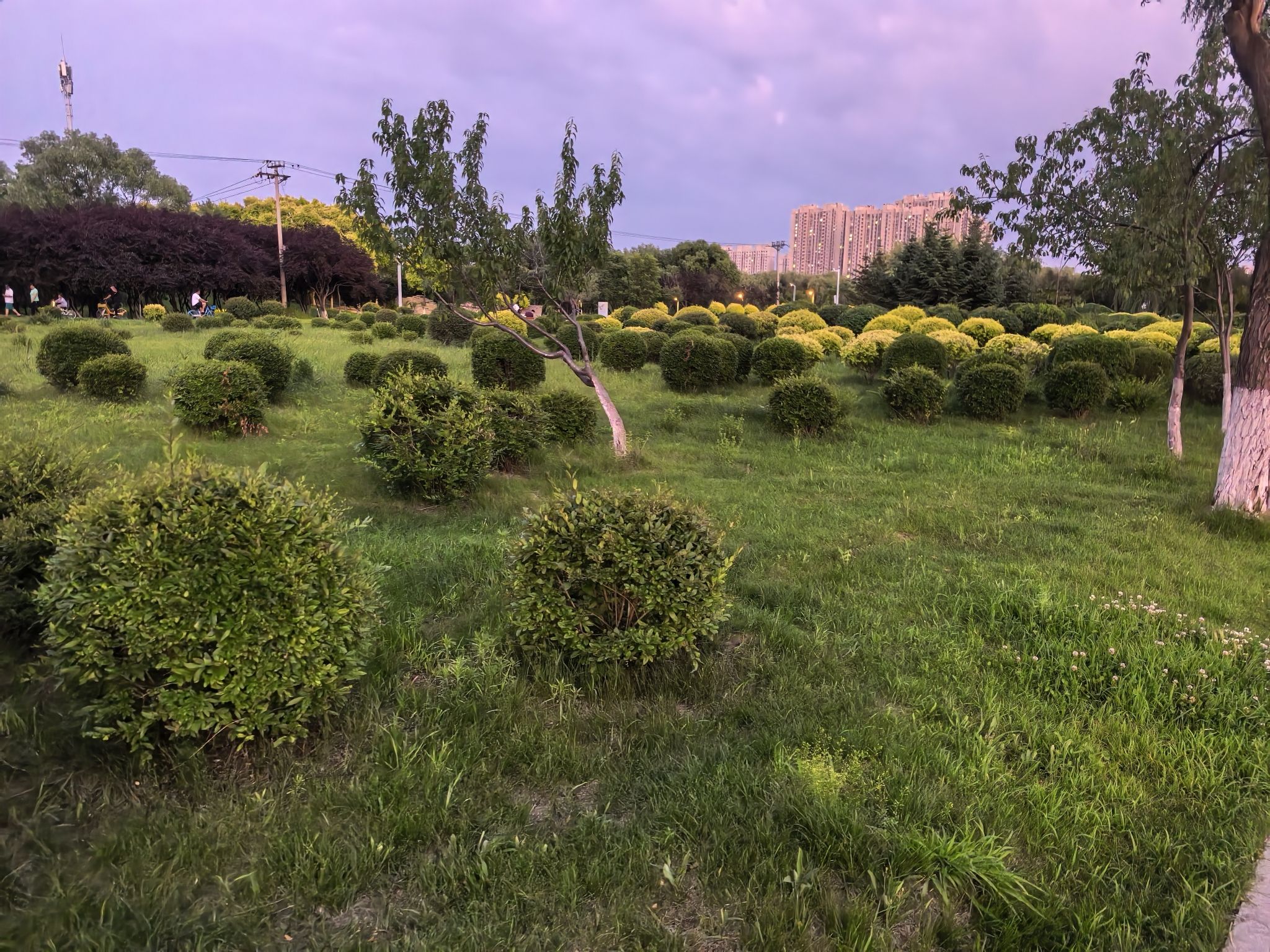 休闲运动公园