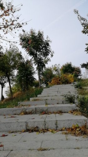 青龙山健康主题公园旅行图片 1