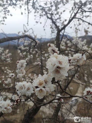 圣泉寺风景区