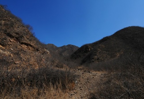 狗牙山旅行图片 2