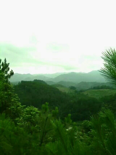 天坪组旅游景点旅行图片 1