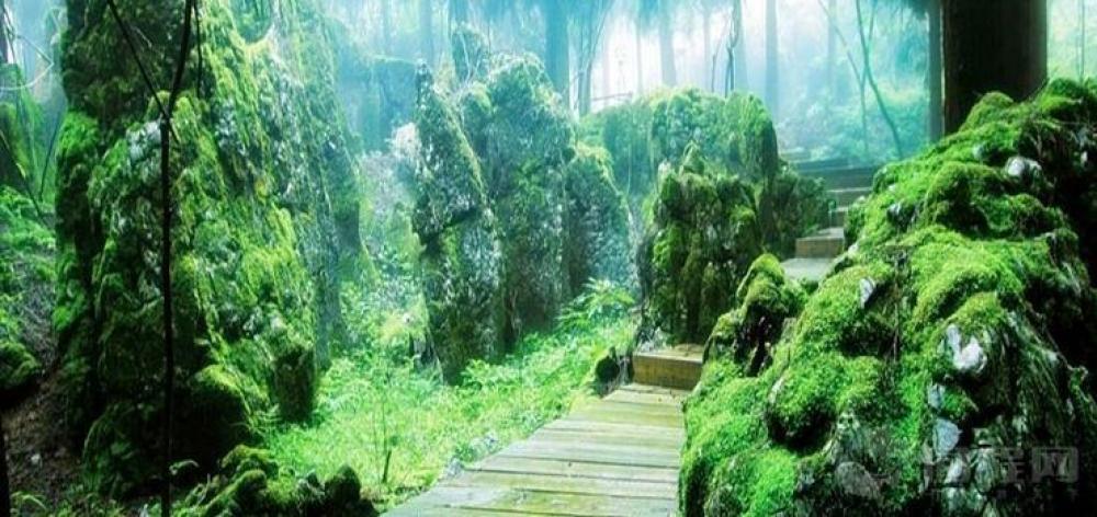 摩围山景区景点图片