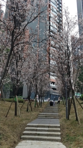 雀翎公园旅行图片 2