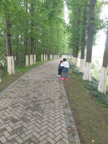 七浦塘生态公园旅行图片 3