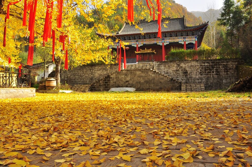 仙果寺实景照片