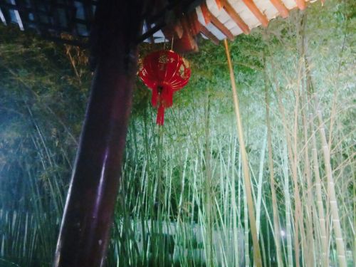 石羊公园旅行图片 2