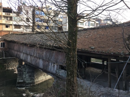 登云桥旅行图片 1