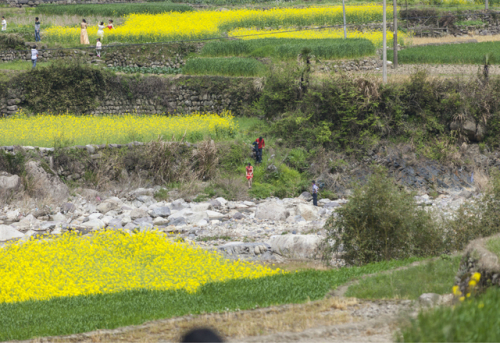 剑门关景点旅行图片 2