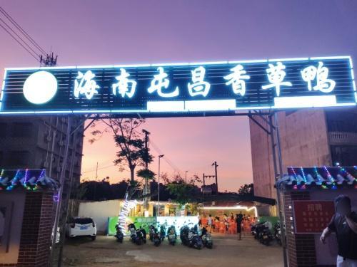 海南屯昌香草鸭(临高店)