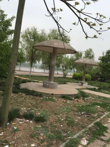 伊滨公园旅行图片 2