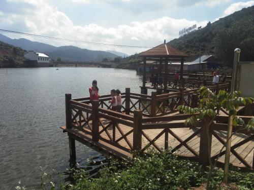 清湖荔枝生态园旅行图片 2